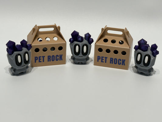 Pet Rock & Box