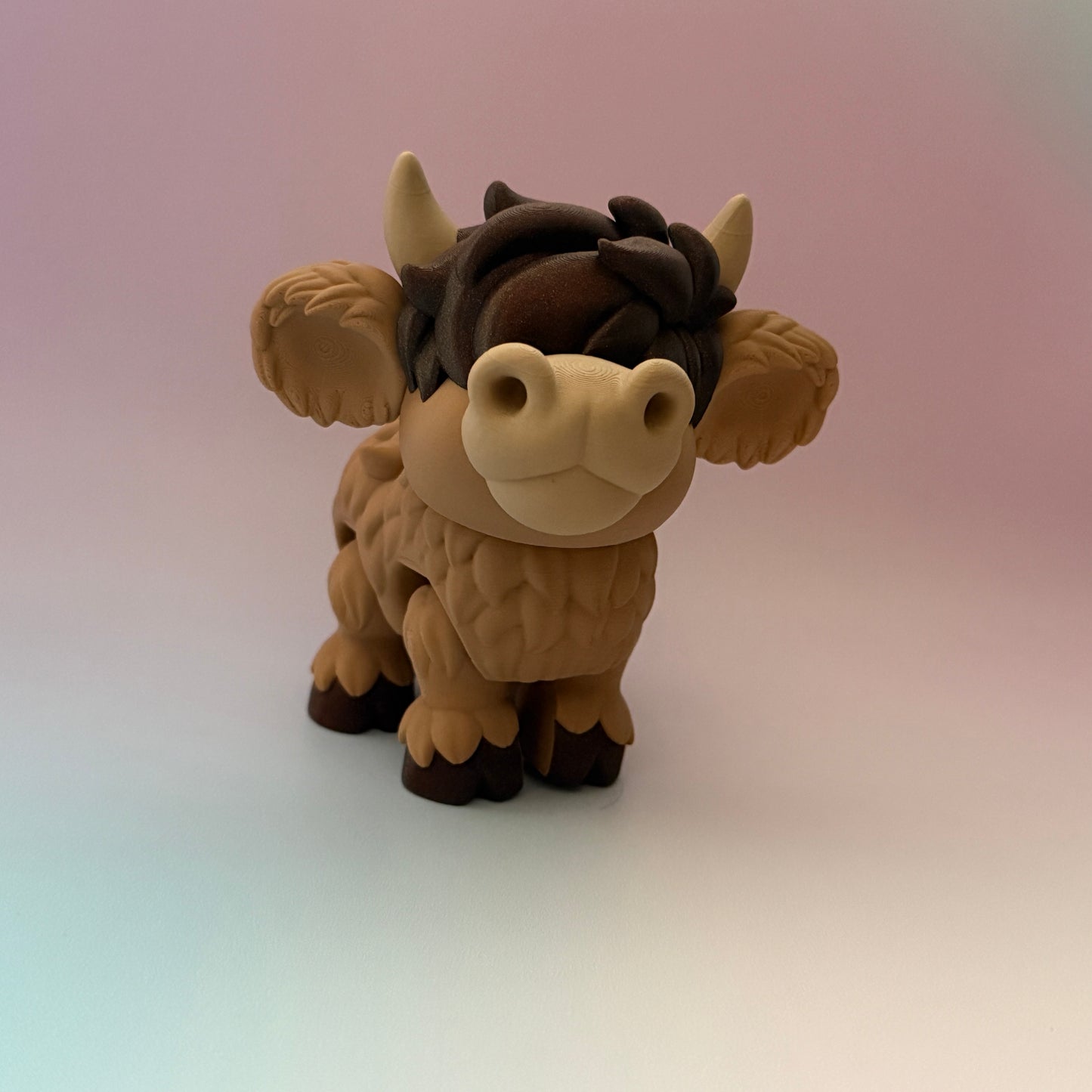 Highland Cows