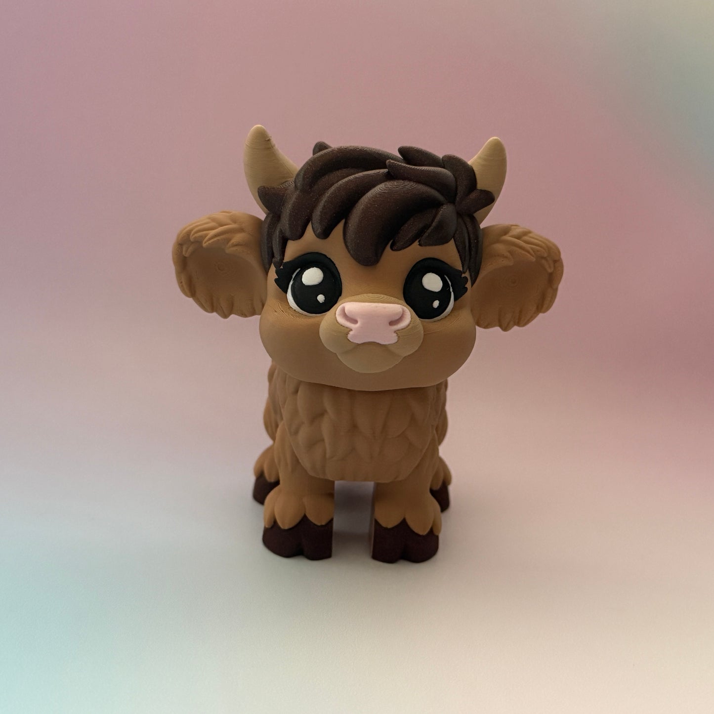 Highland Cows