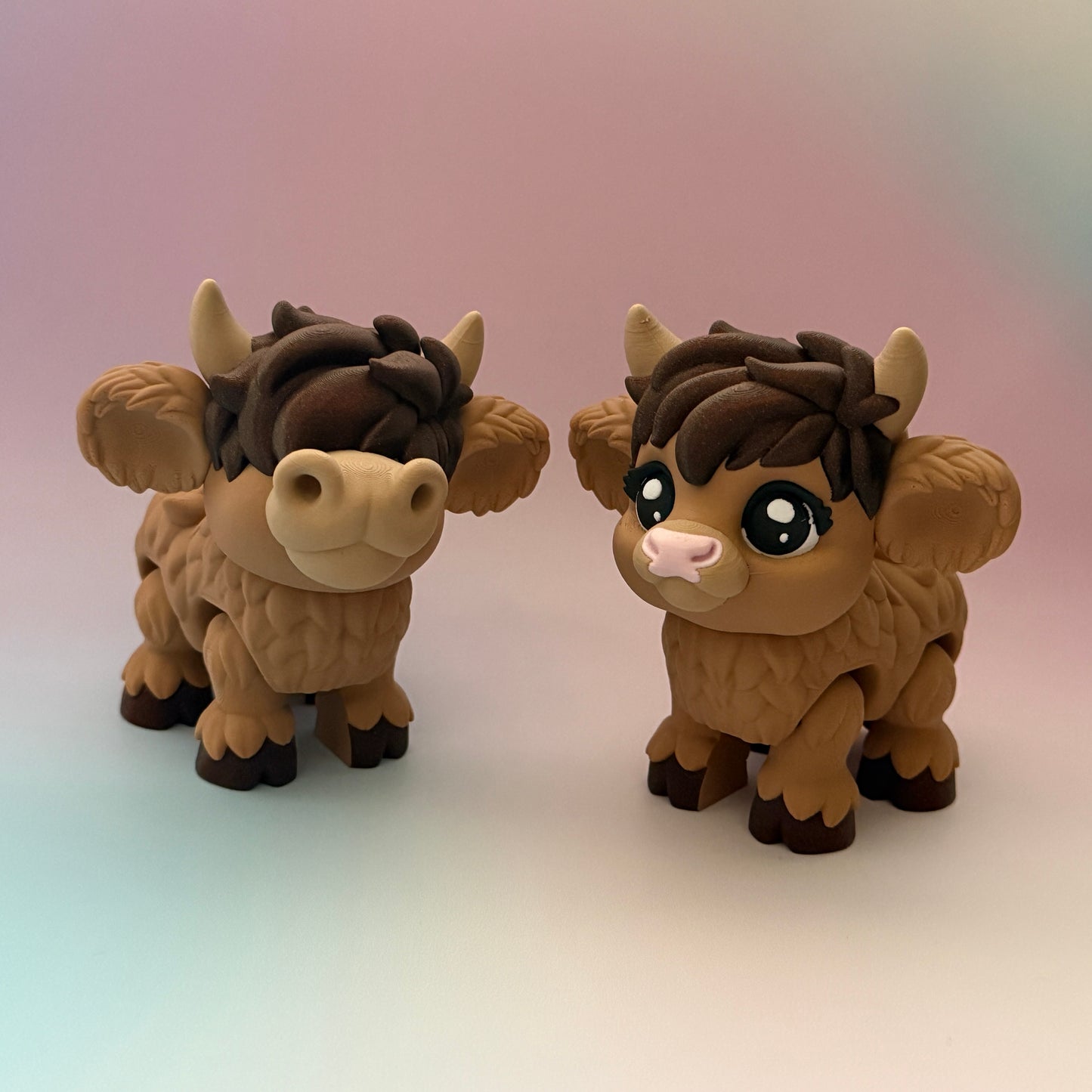 Highland Cows