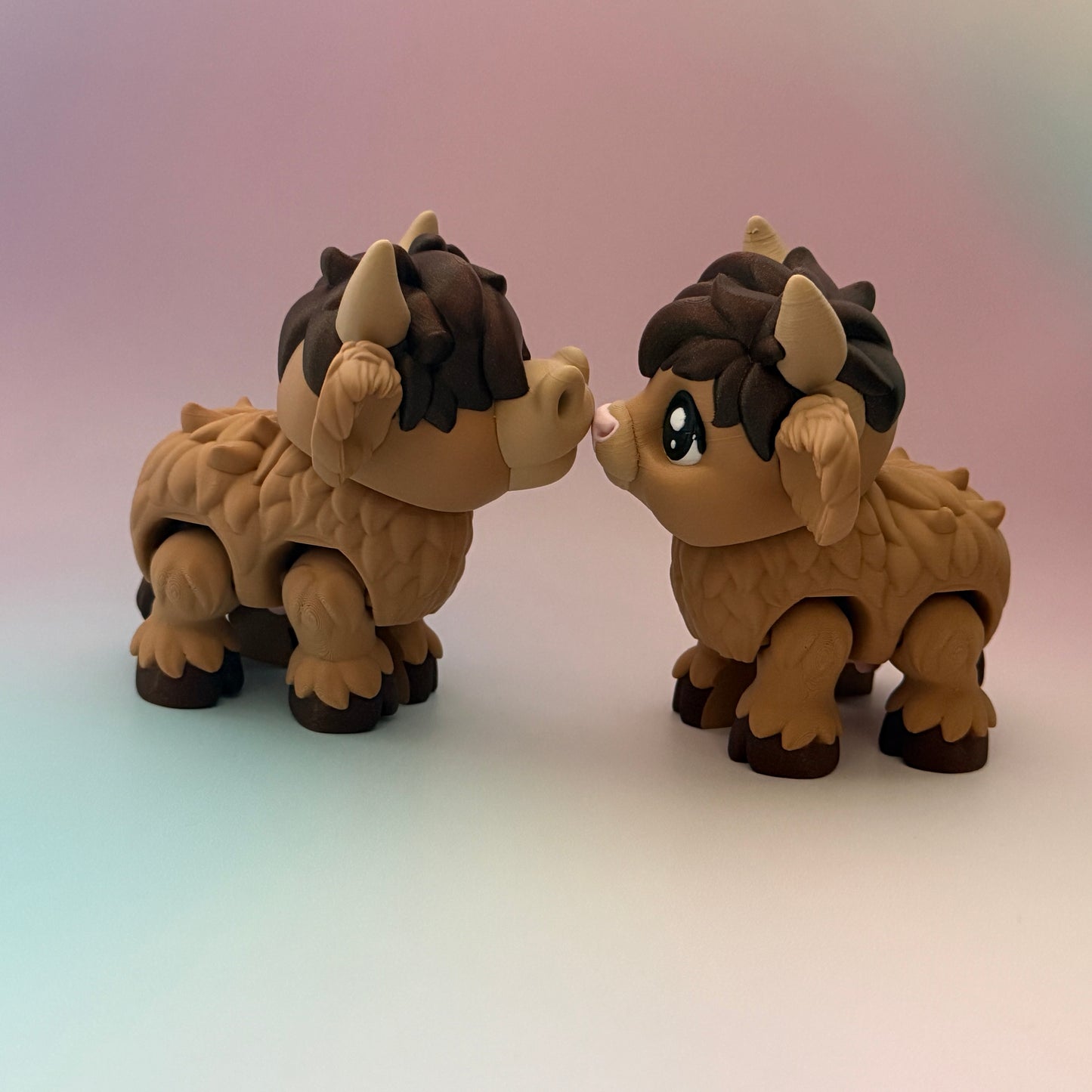 Highland Cows