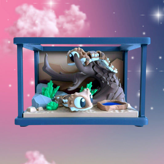 Bearded Dragon Habitat