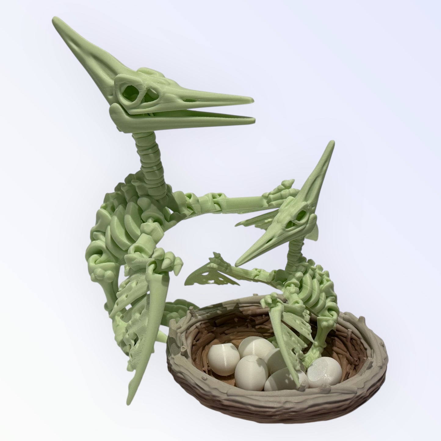 Unique 3D Printed Skeleton Animals – Dinosaurs, Sharks & More